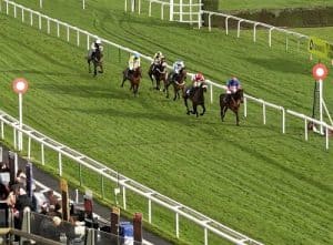 which bookies pay first past the post on horse racing bets?