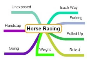 horse racing terminology explained