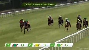 action from a live virtual horse race