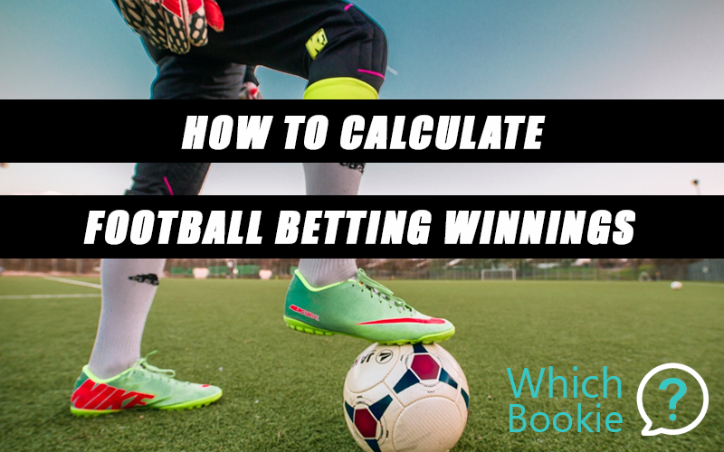 Bet Winnings Calculator Bet Winnings Calculator