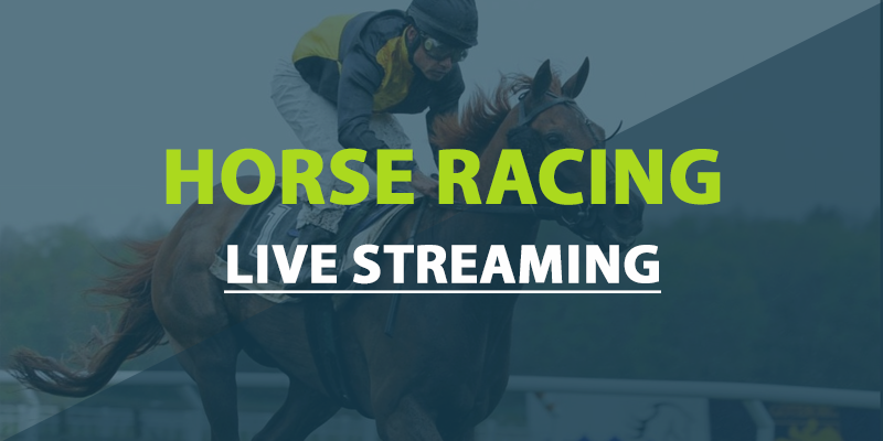 Live horse racing stream wiziwig sale