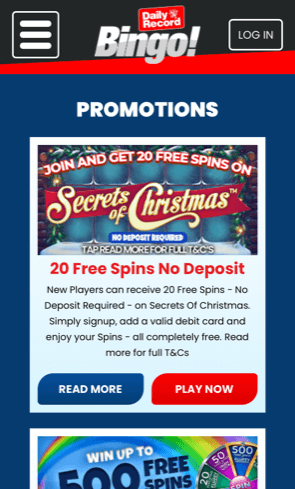daily record bingo promotions
