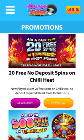 fever bingo promotions