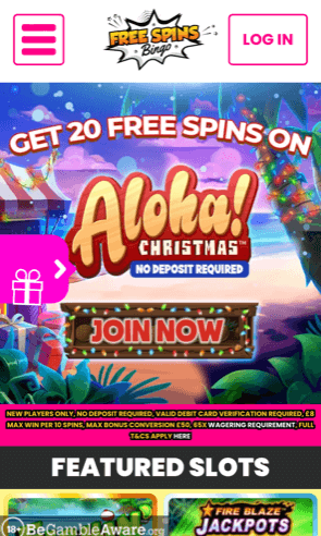 free spins bingo app