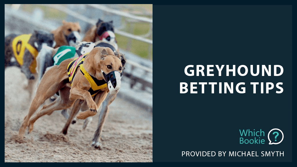 east anglian greyhound derby betting odds