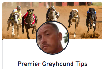 greyhound tips