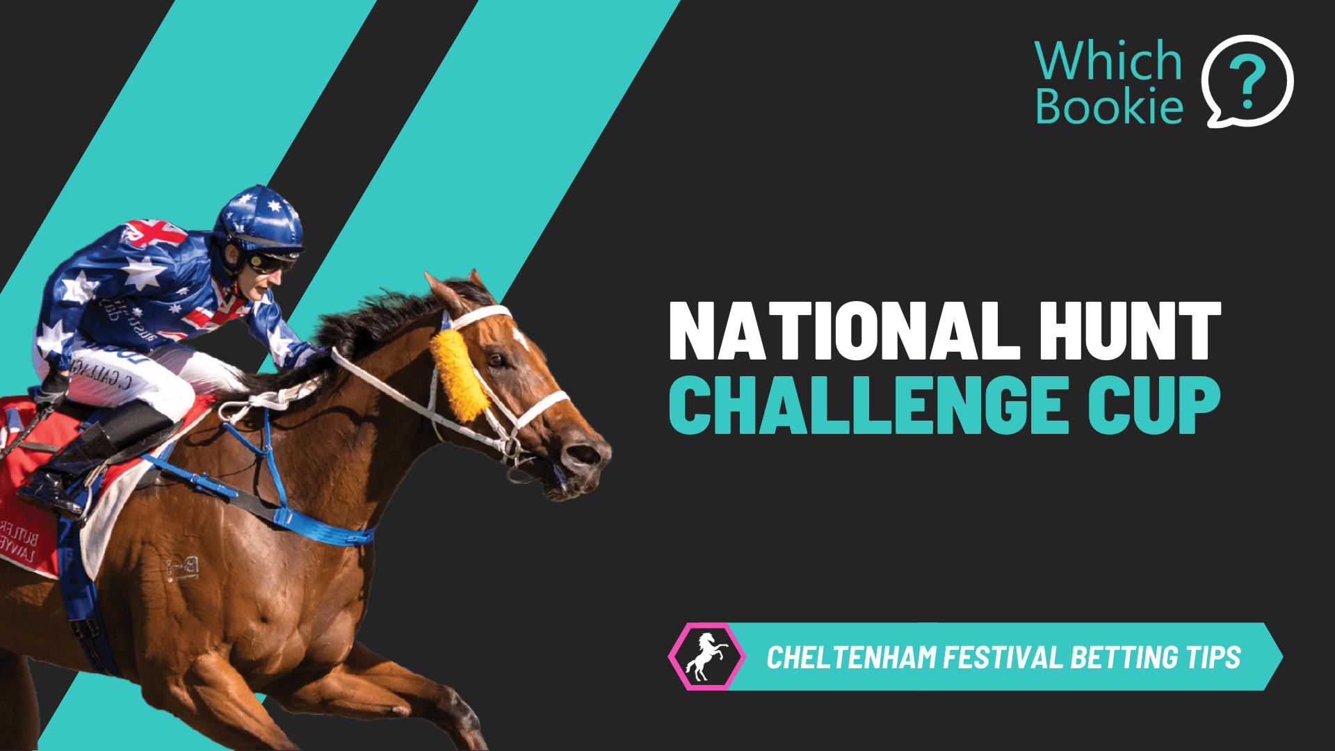 National Hunt Chase Challenge Cup Tips 2026
