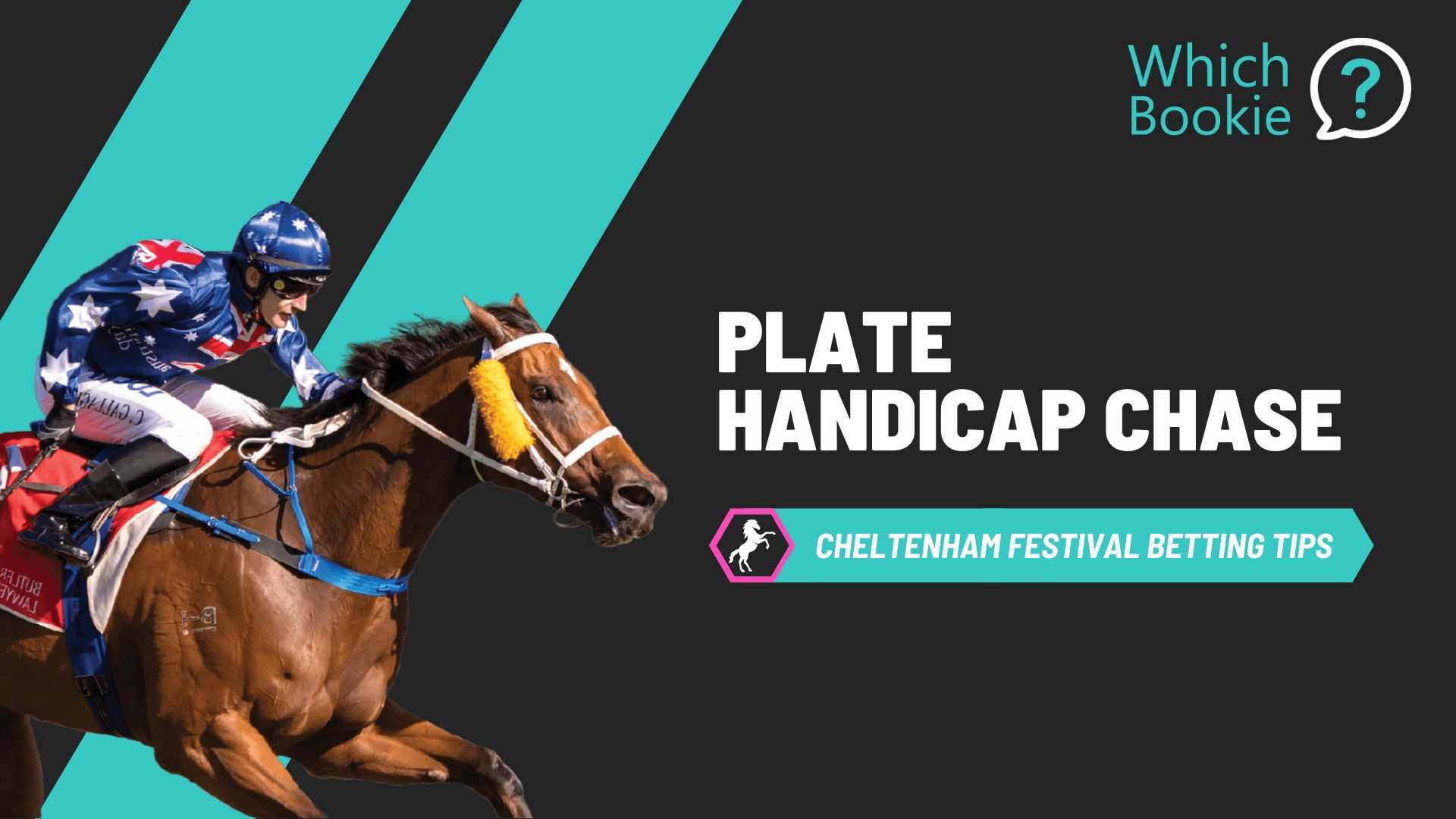 Festival Plate Handicap Chase Tips 2026