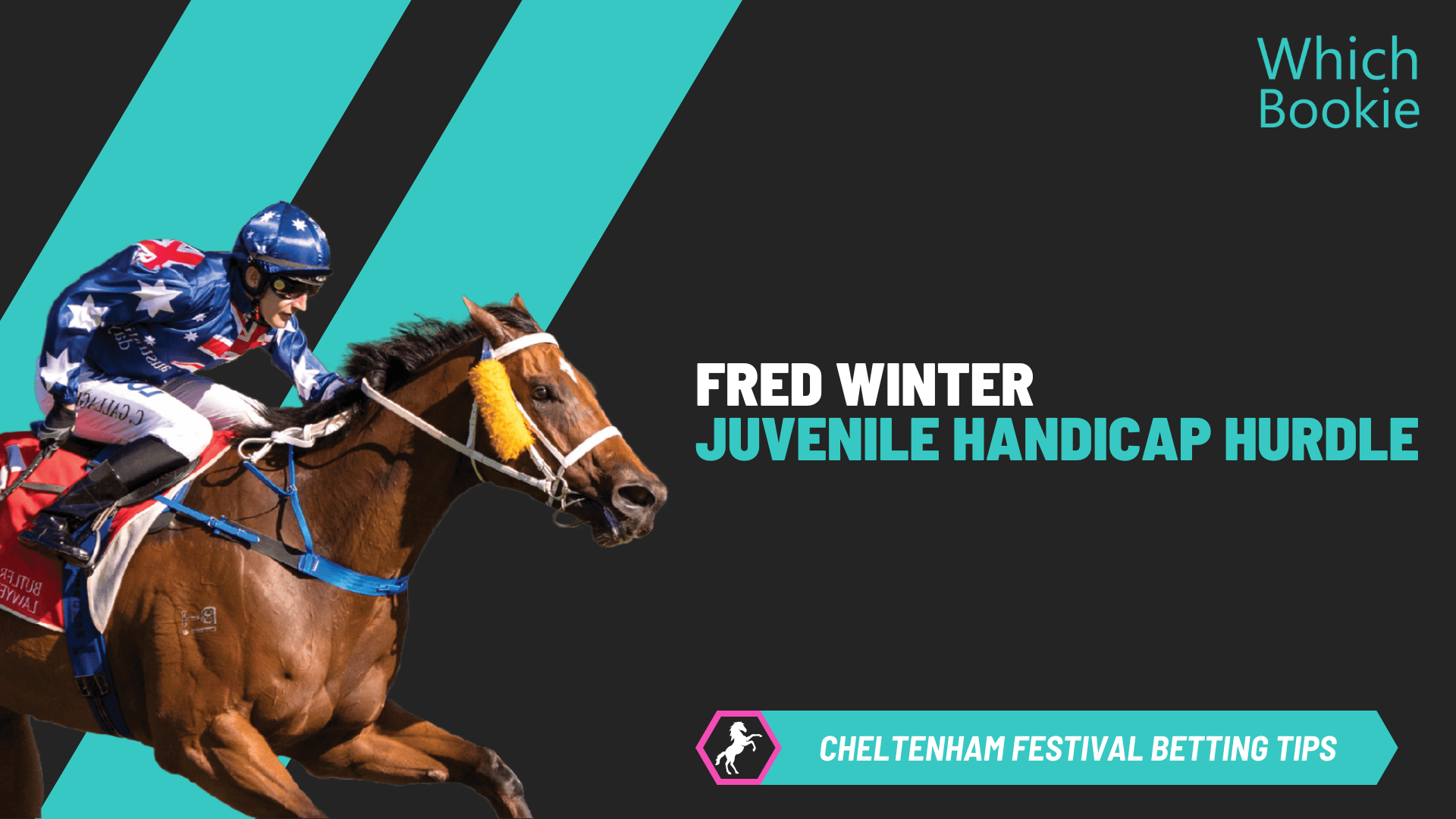 Fred Winter Juvenile Handicap Hurdle Tips 2026